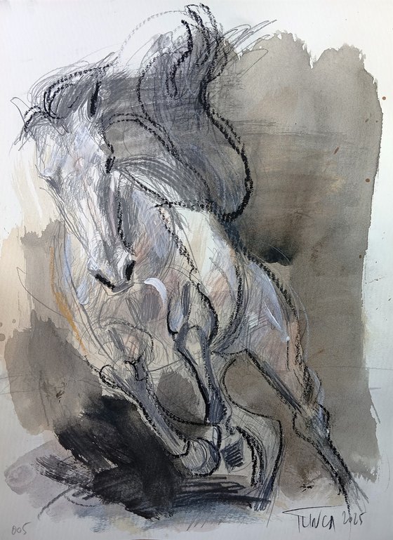 Galloping horse