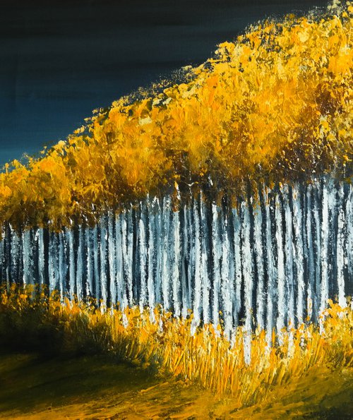 Aspens Lines- Fields and Colors Series- by Danijela Dan