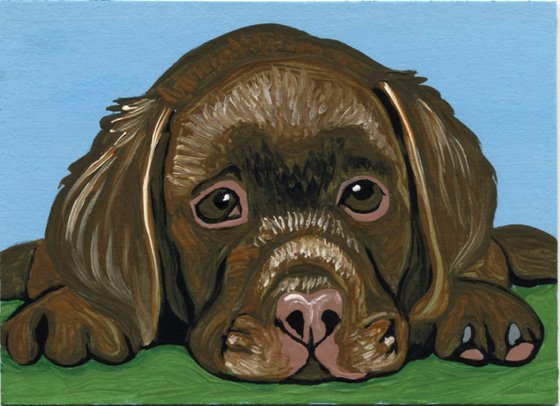 ACEO ATC Original Miniature Painting Labrador Retriever Puppy Pet Dog Art-Carla Smale