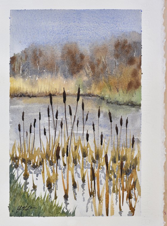 Winter Bullrushes