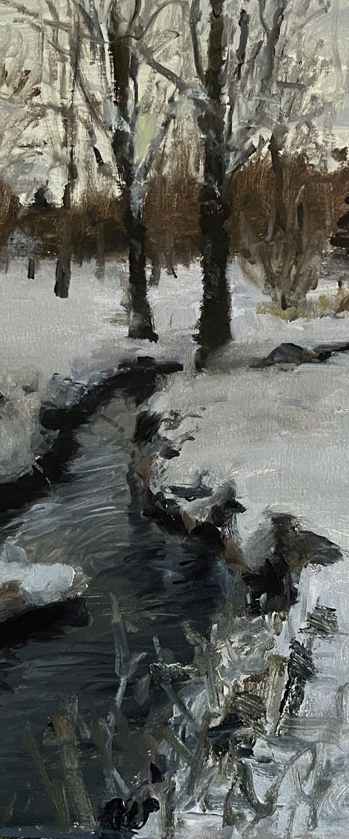 Сloudy winter by Michael Rak