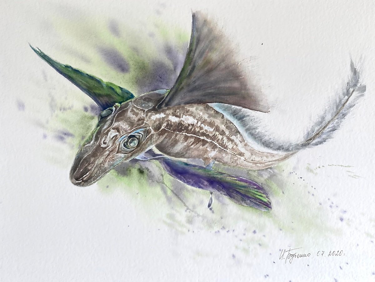 Illustrative Animal Watercolour By Natalia Butenko, 16 X 12", Flying Fish, Original Artwork