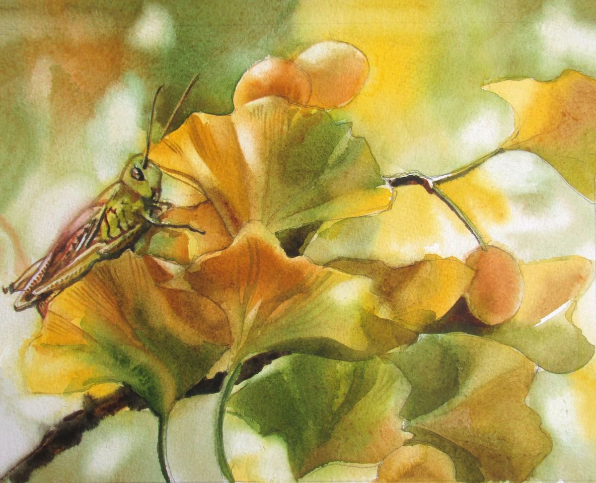 grasshopper with ginkgo by Alfred  Ng