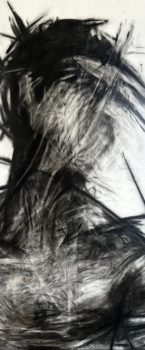 Dream Shadow by Alessia Mogos