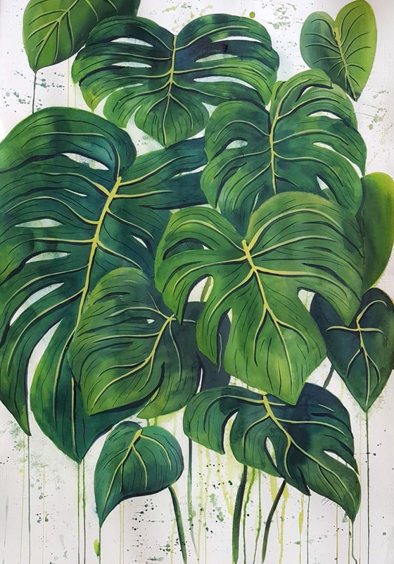 Modern  Monstera Deliciosa Leaves