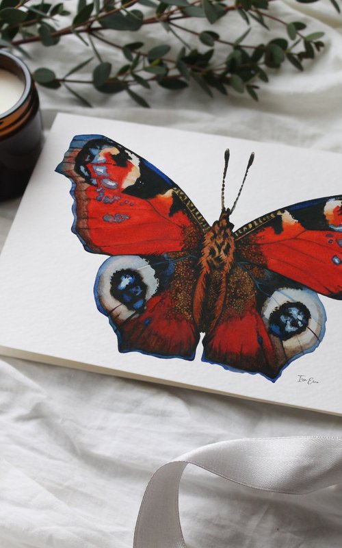 Peacock Butterfly by Irsa Ervin
