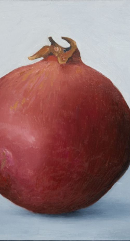 Still life Pomegranate by Damien Venditti
