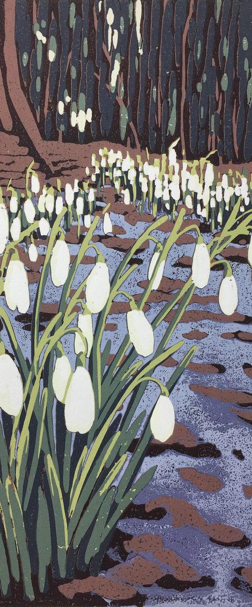 Snowdrops and Melting Snow by Alexandra Buckle