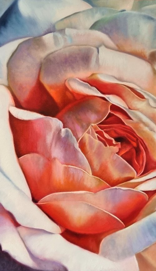 " Open your mind" rose  flower 2022 by Anna Bessonova (Kotelnik)