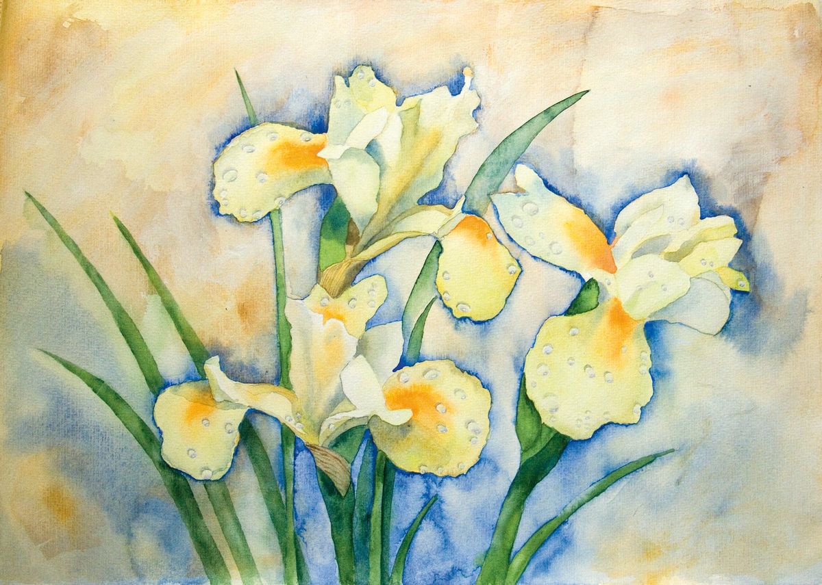 Irises by Anna Masiul-Gozdecka