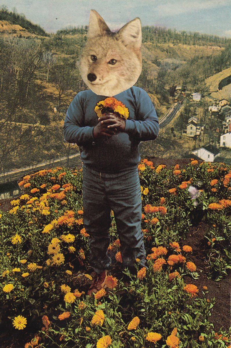 Fantastic Mr. Fox by Jon Garbet