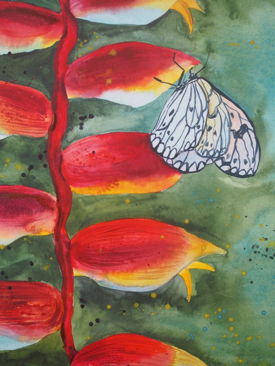 Exotic flower and butterfly - original watercolor