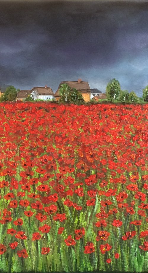 Poppy fields by Ira Whittaker