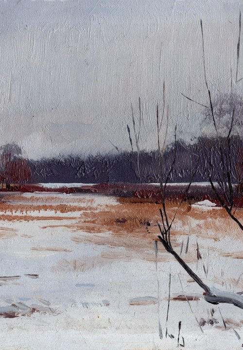 Gray day. Izmailovsky park by Simon Kozhin