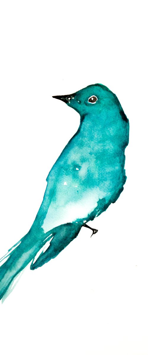 Bird by Nadia Moniatis
