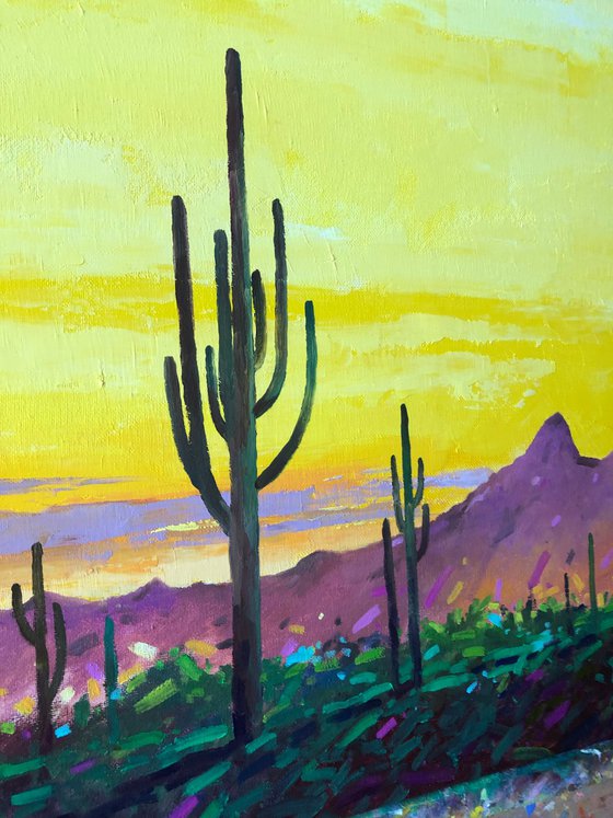 Sunset in desert 60-70cm