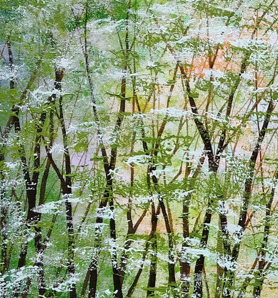 A Quieter Forest Way
