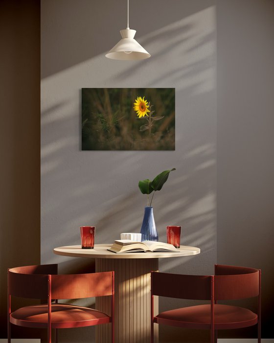 Golden Silence V – Solitary Light