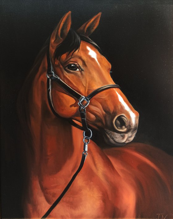 Horse portrait (50x70cm, oil painting, ready to hang)