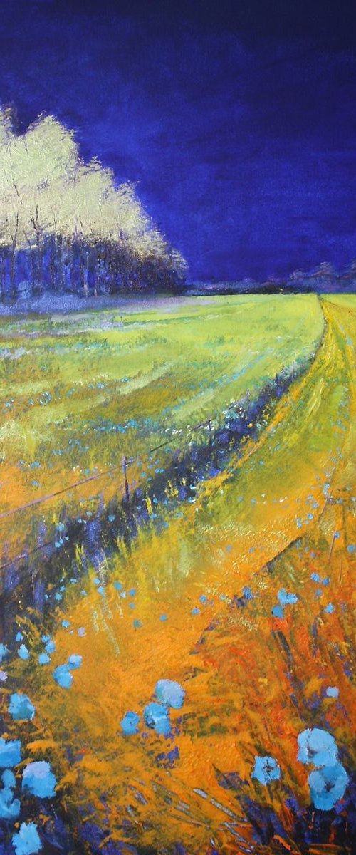 Among Blue Poppies by Simon Jones