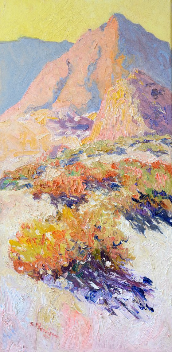 Morning Light. Desert