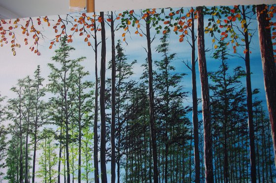 Startling Afternoon shadows.