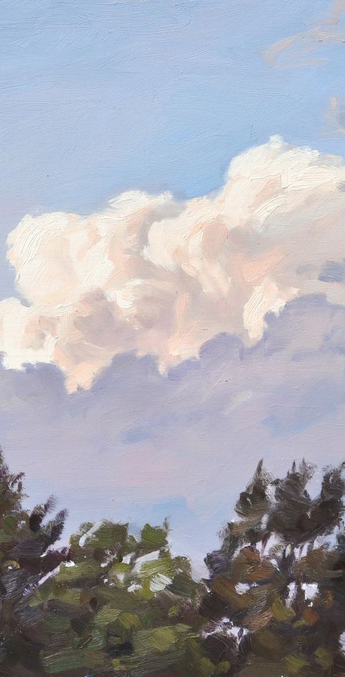 June 17, clouds, evening light by ANNE BAUDEQUIN