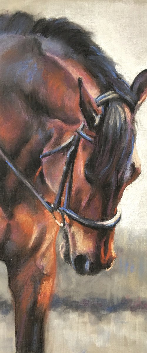 Stretch Down - Bay Horse by Lorna Lancaster ASEA