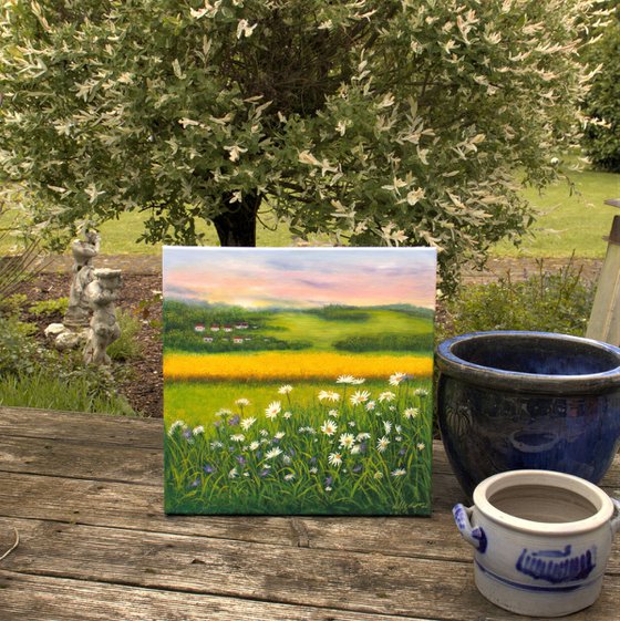 Daisy meadow landscape