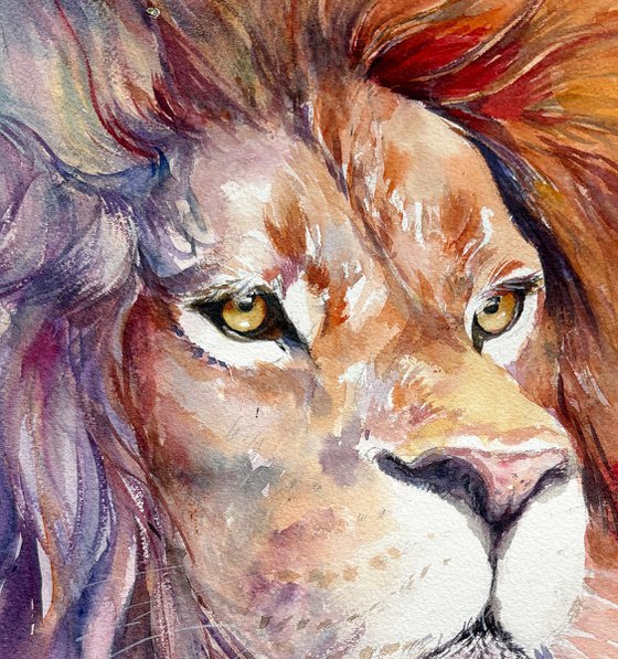 The Purple Mane_Lion