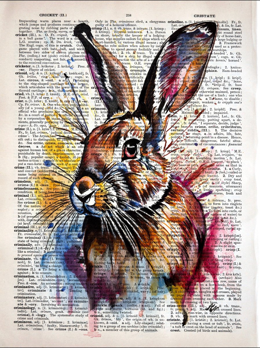 Colorful Rabbit by Misty Lady - M. Nierobisz