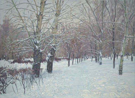 Snow-covered boulevard in Maryino