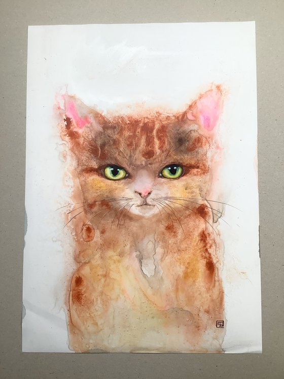 YELLOW KITTY