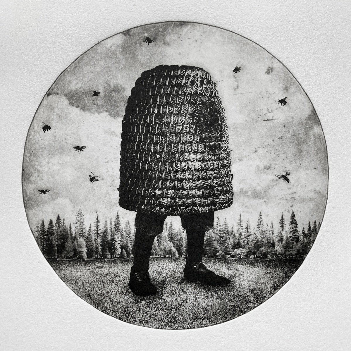 Surrealistic Portrait Etchings & Engravings By Jaco Putker, 15 X 16, Hive No.4, Original Artwork