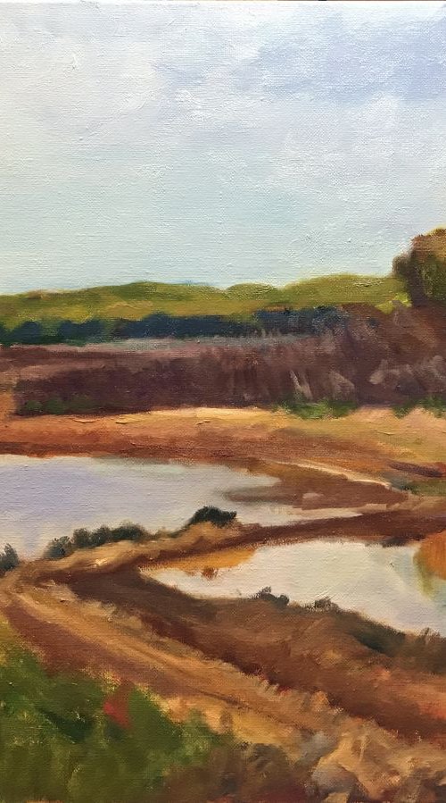 Connecticut Marshlands by Katherine Jennings