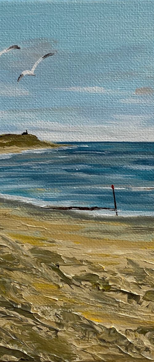 Hengistbury Head Beach by Marja Brown