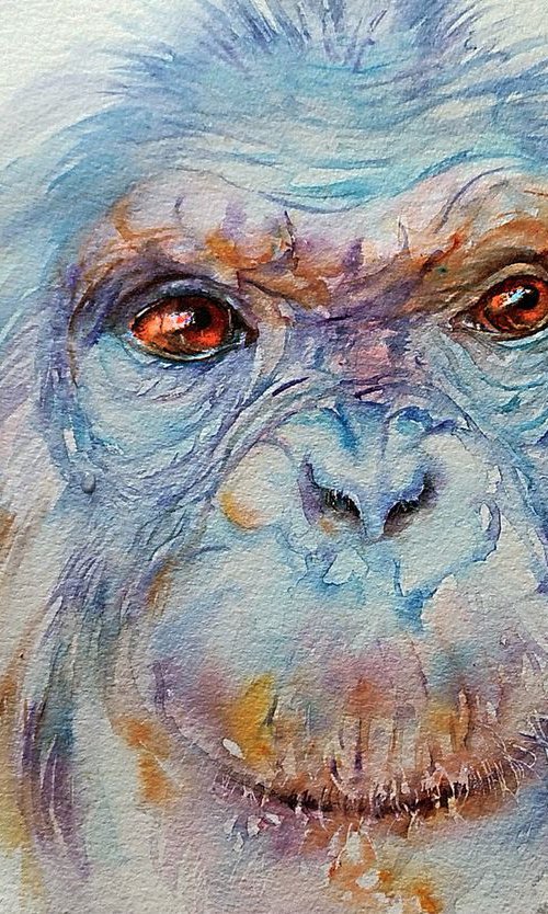 Blue Bonn_Chimpanzee by Arti Chauhan