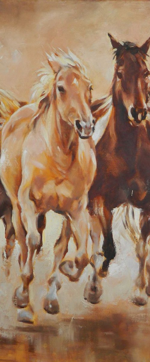 Wild Mustangs by Magdalena Palega