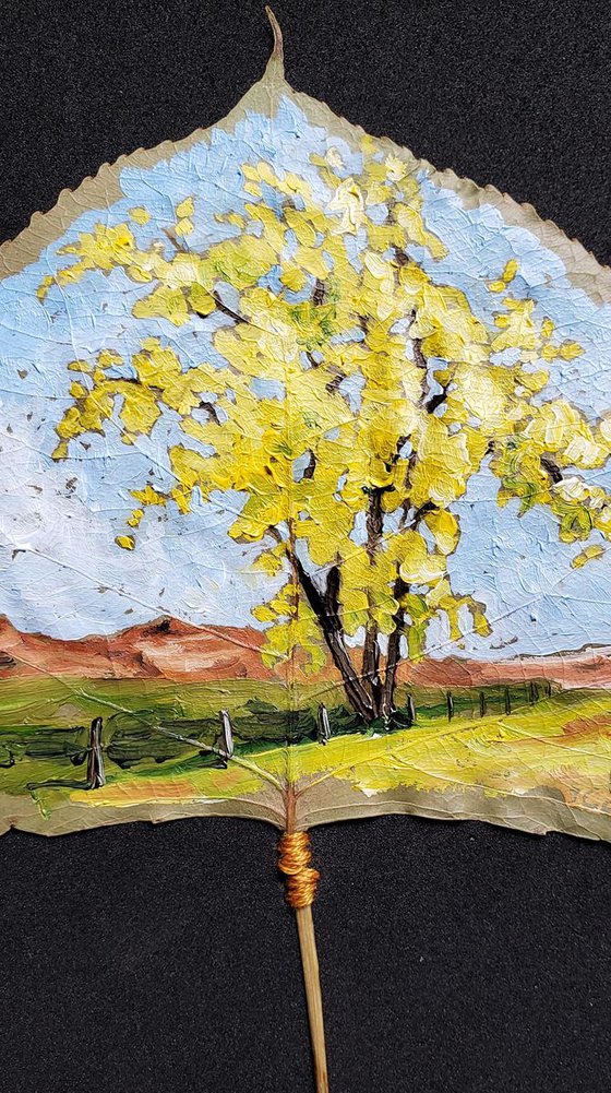 Landscape - Cottonwoods I