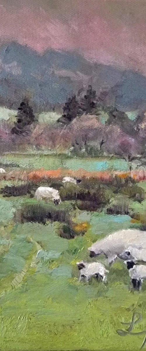 Sheep Grazing at the Foothill by Lori Hanson