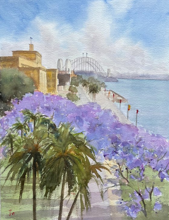 Circular quay in jacaranda season