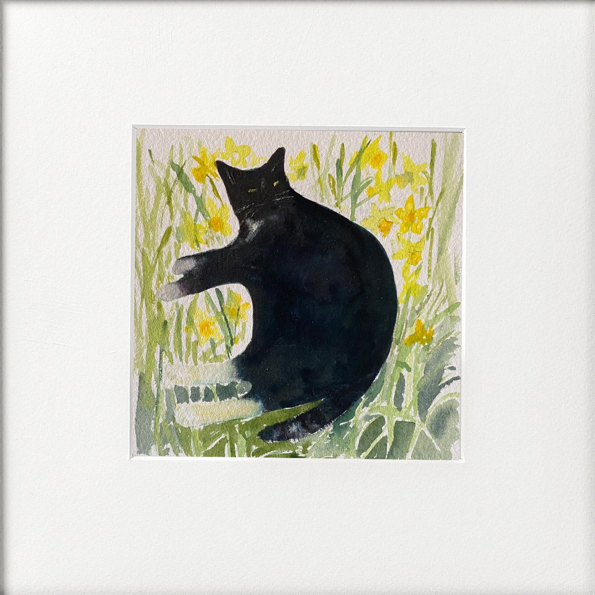 George the cat in the Daffodils by Teresa Tanner