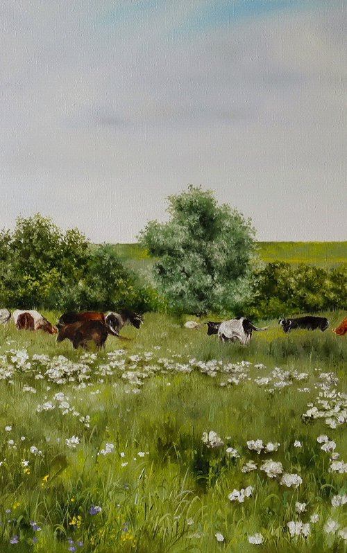 Cows Grazing in Meadow by Natalia Shaykina