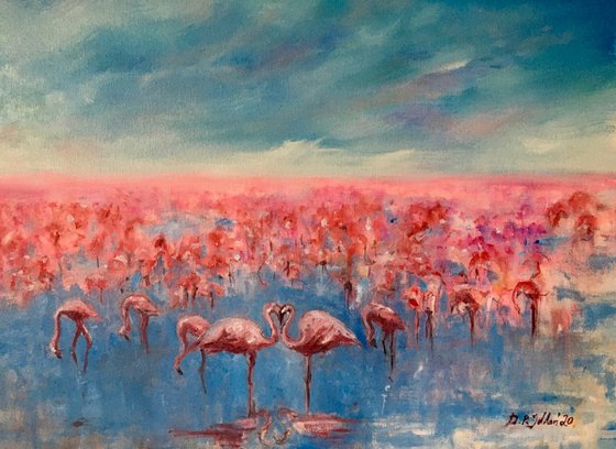 Lexis Flamingos