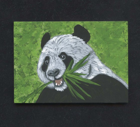 ACEO ATC Original Miniature Clayboard Painting Panda Bear Wildlife Art-Carla Smale