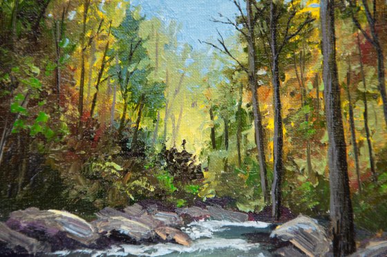 Forest stream. Oil painting. Original art.