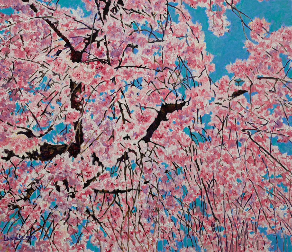 Cherry Blossom by Liudmila Pisliakova