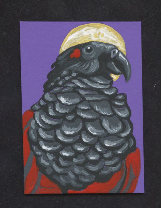 ACEO ATC Original Miniature Painting Halloween Dracula Parrot Bird Art-Carla Smale