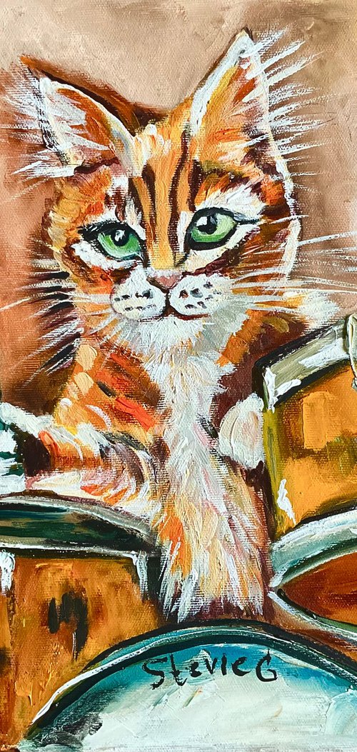 Cat plays drums by Olga Koval