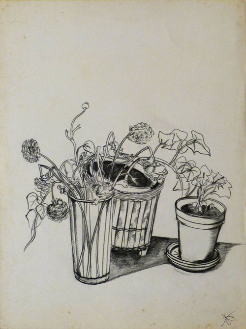 Still Life: House Plants, 24x32 cm by Frederic Belaubre